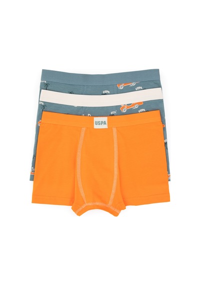 U.S. Polo Assn. Erkek Çocuk 3'lü Boxer Takım 50319395-VR051