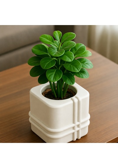 3d Baskı Square Planter - Izgara Desenli Küp Saksı-beyaz Çok Renkli