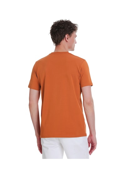 Hatemoğlu Tarçın Regular Fit Bisiklet Yaka Pamuklu Tişört 1996549 Tarçın-02 Hatemoğlu Tarçın Regular Fit Bisiklet Yaka Pamuklu Tişört 1996549 Tarçın-02