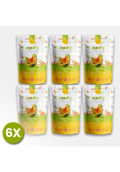 Freeze-dry Kavun Freeze Dried Melon Dondurularak Kurutulmuş Meyve Kurusu 17gx6 17 G