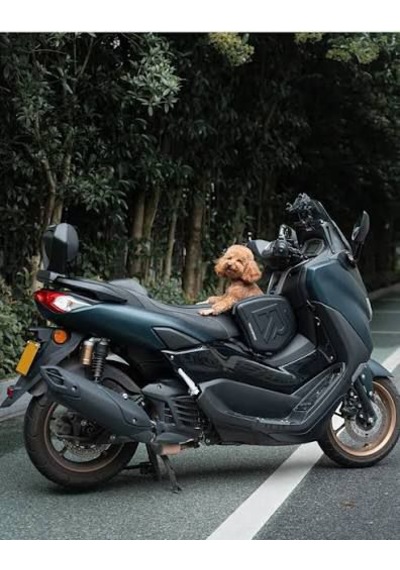 Rockbros 14lt Motosiklet Tünel, Depo Üstü Ve Kask Çantası Suya Dayanıklı Alüminyum - Siyah