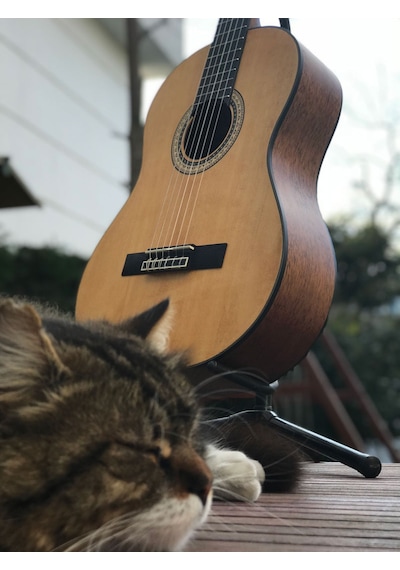 Valencia Vc404 Naturel Mat Klasik Gitar