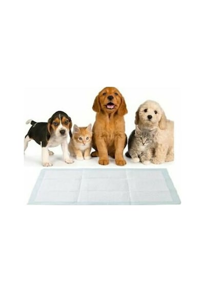 Köpek İçin Çiş Pedi 30'lu 60 x 90 CM