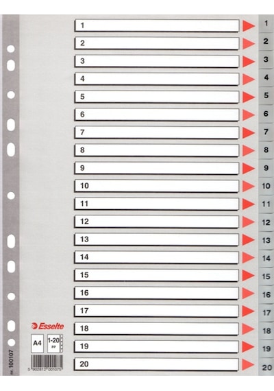 Esselte Seperatör 1-20 Rakamlı Plastik A4 100107 Çok Renkli