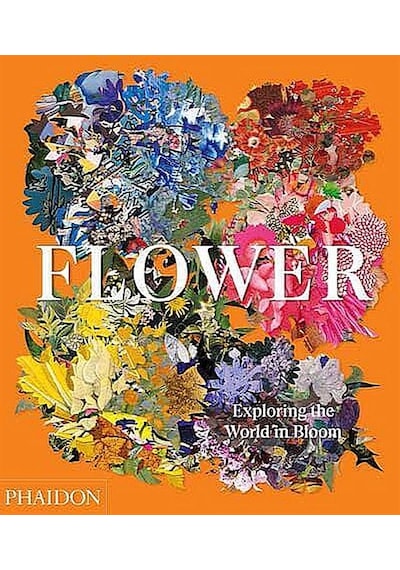Flower exploring The World İn Bloom