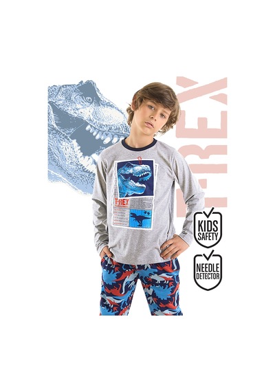 Denokids T-rex Info Erkek Çocuk T-shirt Pantolon Takım