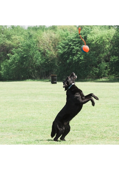 Chuckit! Rope Fetch İpli Köpek Oyun Topu