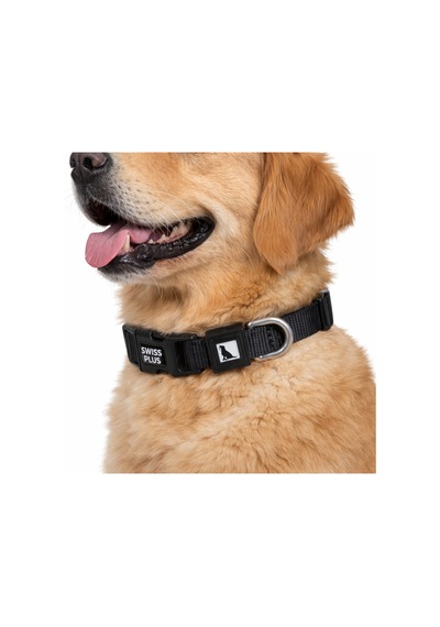 Swissplus Urban Paws Köpek Tasması Noir Black Ayarlanabilir, Dayanıklı, Hafif-20mm Siyah