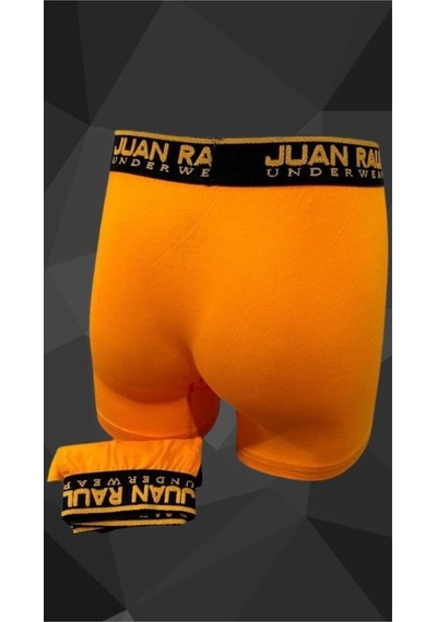 Turuncu Erkek Boxer