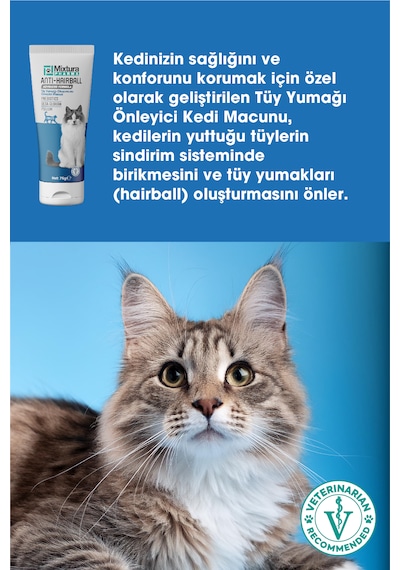 Mixtura Pharma hairball Kedi Tüy Yumağı Malt Macun Tüy Yumağı Oluşumunu 75 G