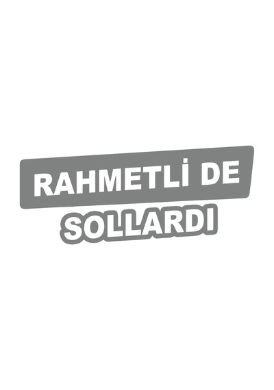 Rametli De Sollardı Araba Sticker 17x17 Cm Gri