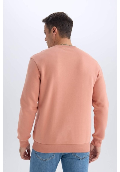 DeFacto Regular Fit Bisiklet Yaka Kalın Basic Düz Sweatshirt T3777AZ25SPPN602