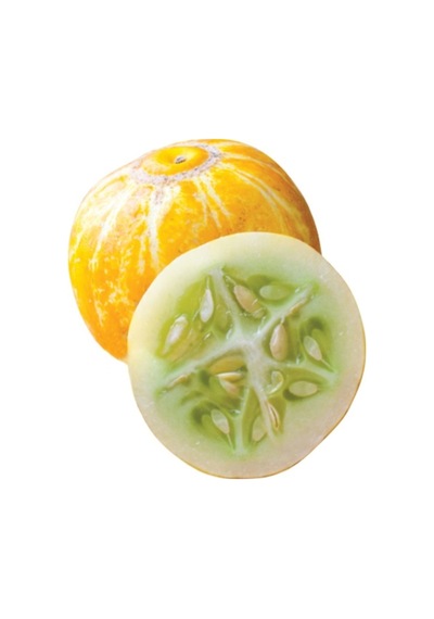 Nadir İthal Limon Salatalık Tohumu 5 Tohum + Tohum