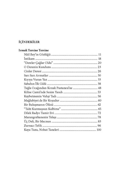 Irmak Tersine Tersine