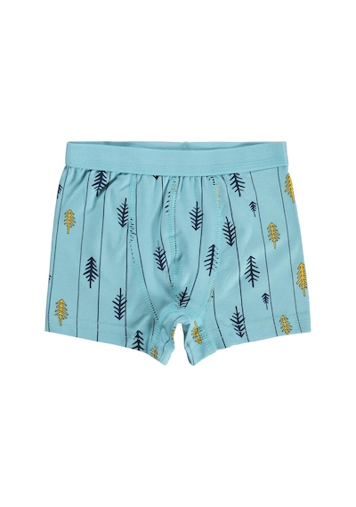 Civil Boys Civil Erkek Çocuk Wonderful Erkek Çocuk 2'li Boxer Likralı Süprem Okul Kreş Ve Günlük Kullanım Standart