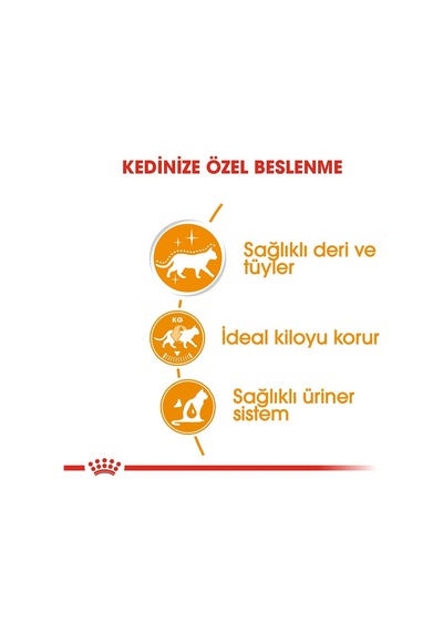 Royal Canin Gravy Intense Beauty Yetişkin Kedi Konservesi 4 x 85 G