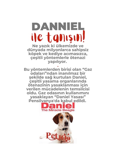 Petjoo 21.Danniel Kırmızı-Gri Qr'lı Köpek Künyesi