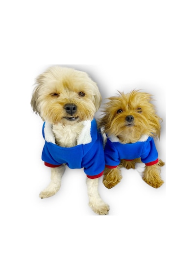 Kemique Sweet Blue Rabbit Kapşonlu Sweatshirt Köpek Kıyafeti Kemique Sweet Blue Rabbit Kapşonlu Sweatshirt Köpek Kıyafeti