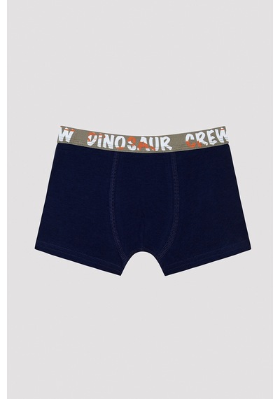 Penti Erkek Çocuk Dinosur Crew Slogan Baskılı Boxer Çok Renkli