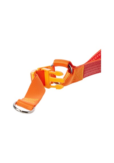 Euro Dog Köpek Uzatma Tasması+göğüs Tasması 25mm 120cm Turuncu