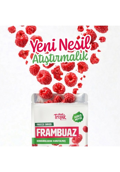 Dondurularak Kurutulmuş Frambuaz 18 G Freeze Dried Meyve Cipsi Çıtır Meyve Kurusu 1 Adet