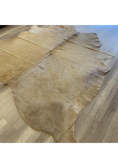 Hoom Rugs Dana Derisi P09 3,45m2