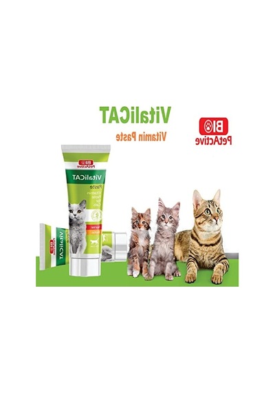 Kediler İçin Besleyici Vitamin Macunu, 100 Ml