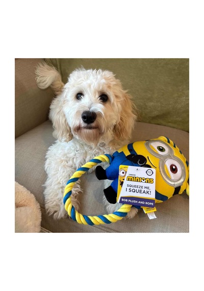 Happy Pet Minions Bob Double Tug Köpek Çekiştirme Oyuncağı Small