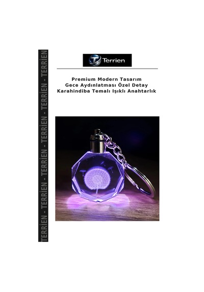 Premium Modern Tasarım Gece Aydınlatması Özel Detay Karahindiba Temalı Işıklı Anahtarlık