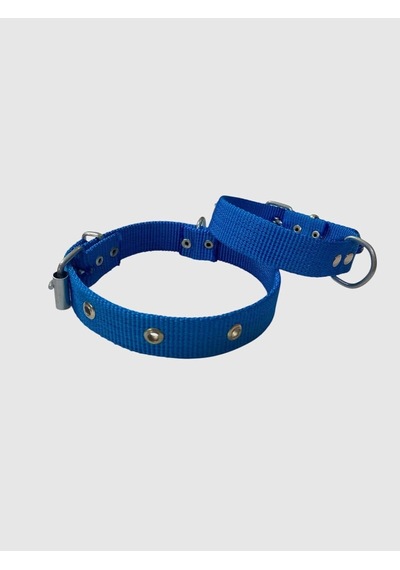 Küçük Boy Yavru Köpekler İçin Tasma Mavi 40" Genel