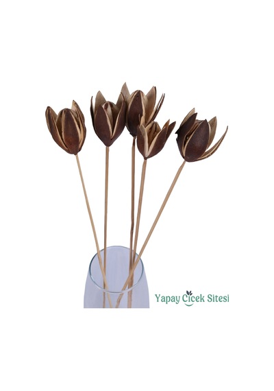 Yapay Çiçek Sitesi Kuru Çiçek Doğal Lily 50 Cm 5li Kahverengi