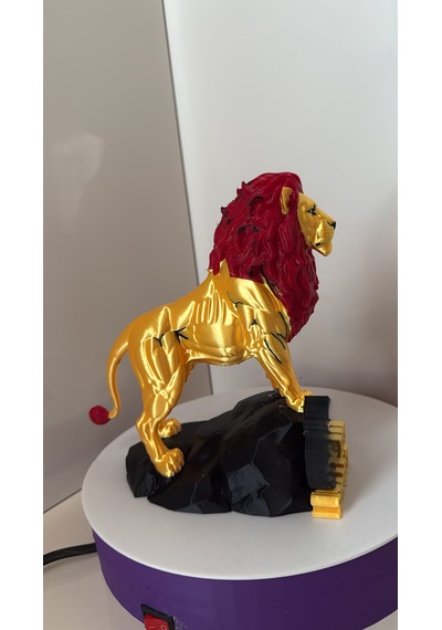 Aslan Renkli 3d