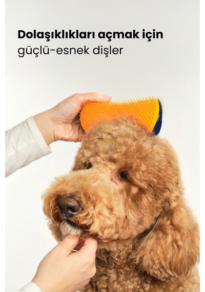 Pet Teezer Detangling Small Navy/orange Lacivert Turuncu Köpek Bakım Fırçası