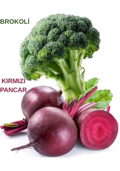 Brokoli Ve Kırımızı Pancar Tohum Seti 20 Gr.' Lık Paketlerde 20 Gr.