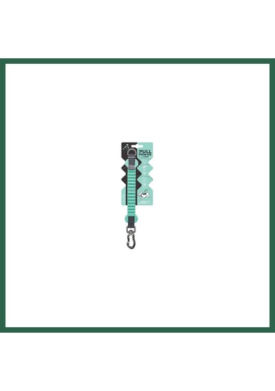 M-pets Pull Power Köpekler İçin Şok Emici Ara Tasma Yeşil 25 Cm Bzs01