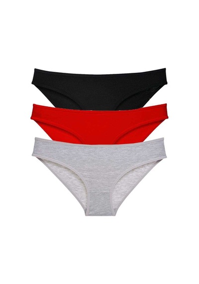 Royaleks 3 adet Süper Eko Set Likralı Kadın Slip Külot 540 RYL-EKO3010 Çok Renkli