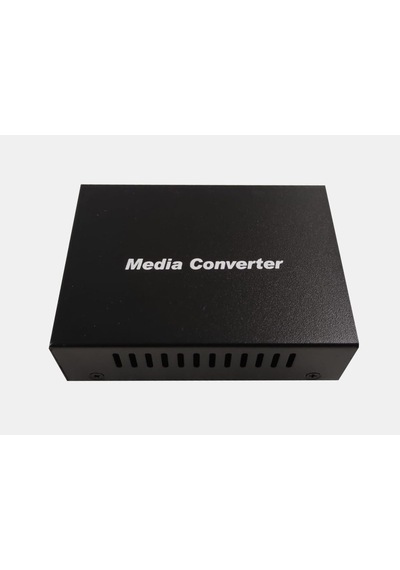 Longlıne Sfp To Sfp Medıa Converter 1000M  LNG-8110G-SS