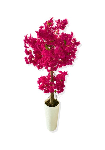 Cihan Çiçekçilik Yapay Ağaç Fuşya Begonvil 190 Cm 56x30x20 Beyaz Kumsal Saksı Fuşya