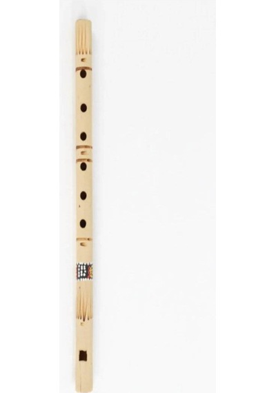 Bambu Kaval - 30 Cm