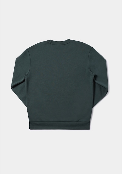 Colin's Colins Comfort Fit Erkek Yeşil Sweatshirt Cl1077350 Q1.v2 Grn Yeşil Colin's Colins Comfort Fit Erkek Yeşil Sweatshirt Cl1077350 Q1.v2 Grn Yeşil