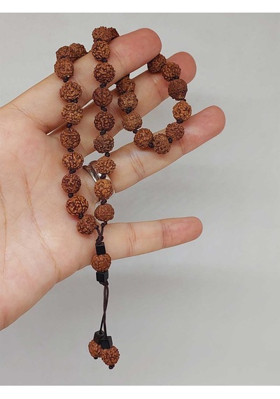 Rudraksha Tohum Düğümlü 33lük Tesbih 1758 Kahverengi