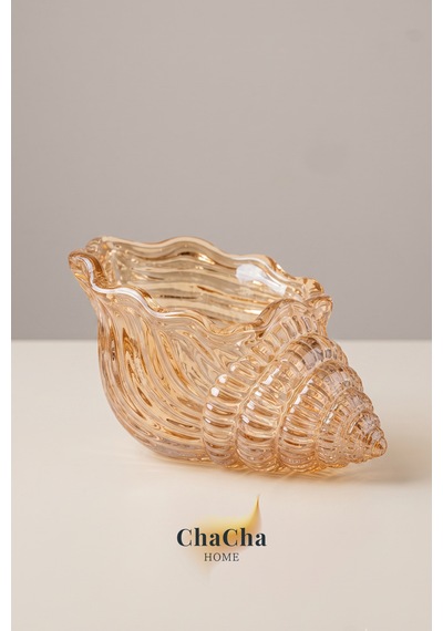 Maris Dekoratif Cam Deniz Kabuğu Lokumluk & Sunumluk 11x5 Cm 6 Adet Bal Rengi