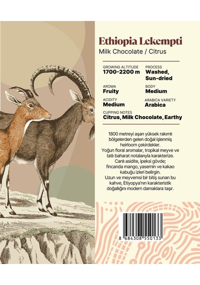 Ethiopia Lekempti Yöresel Filtre Kahve 250 Gr. Çekirdek Kahve