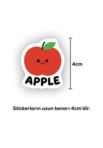 İngilizce Meyveler Sticker Paketi 22 Parça Kaliteli Su Geçirmez Etiket Seti Çok Renkli