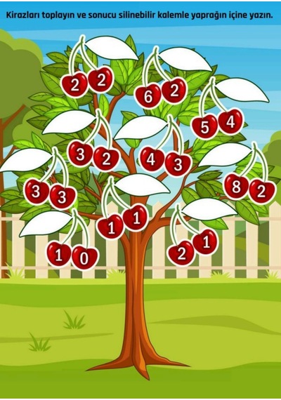 Kodlamalı Matematik Yaz-sil Kitabı