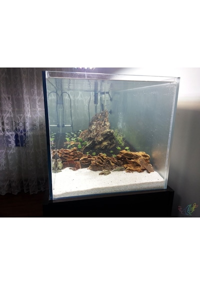 Beyaz Kalsiyumlu Akvaryum Kumu 10 Kg 1-1.50 Mm