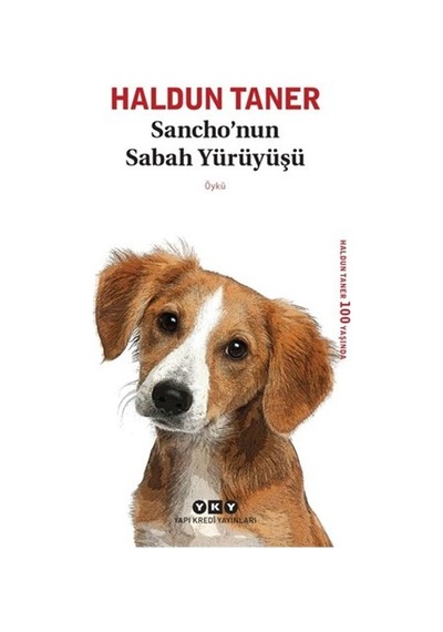 Haldun'un Sabah Yürüyüşü, Edebi Bir Yolculuk