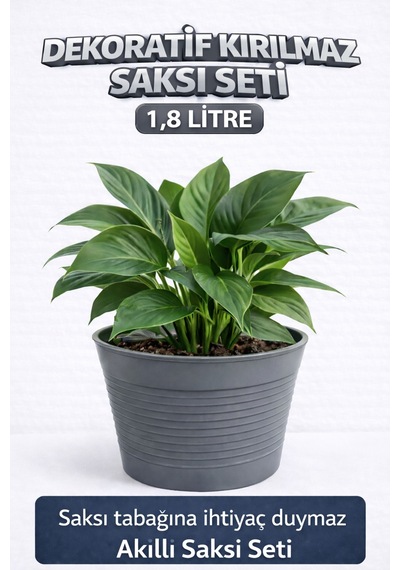 2 Li Saksı Seti 15 Pot Yarı Şeffaf Üretim Saksısı + 1,8 L Gri Dekoratif Kırılmaz Dış Saksı