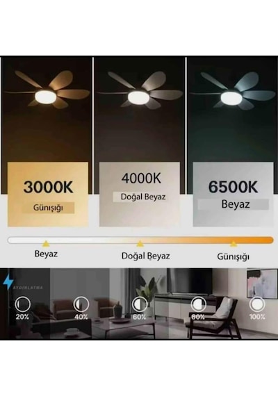 30w Uzaktan Kumandalı Tavan Tipi Fan Ampul Ayarlanabilir Işık Ve Serinletici Fan