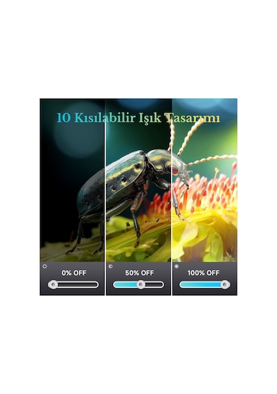 10.1'' Dm12 Hdmı Dijital Mikroskop 2000x Büyütme 20mp Kamera 10 Led Işık 32 Gb Uzaktan Kumanda Siyah - 786924275